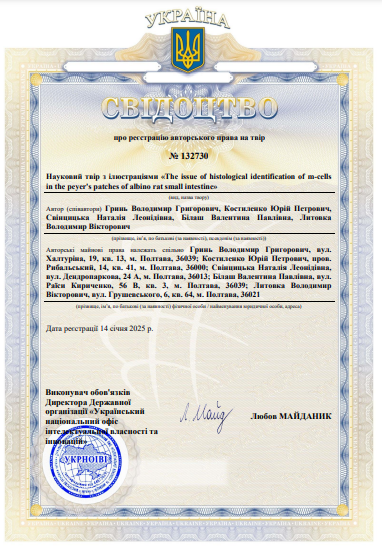 Ескіз