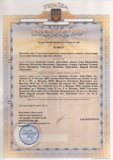 Ескіз