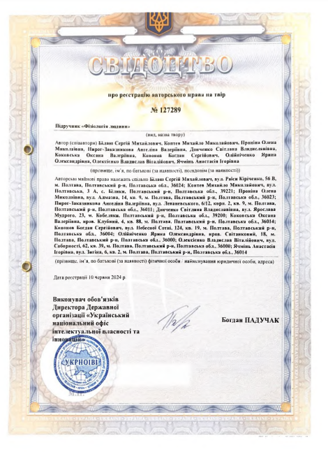 Ескіз