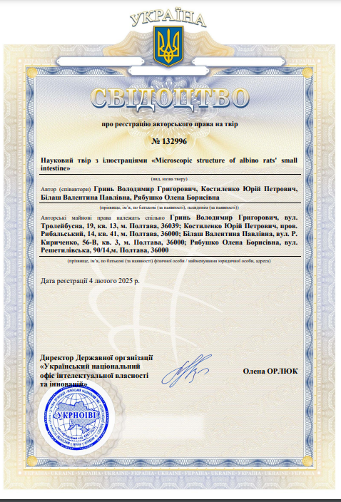 Ескіз