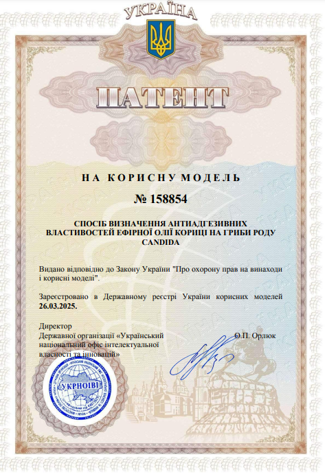 Ескіз
