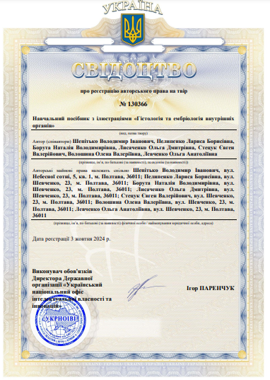 Ескіз