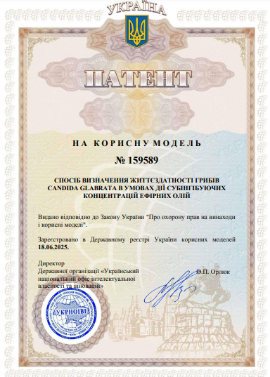 Ескіз